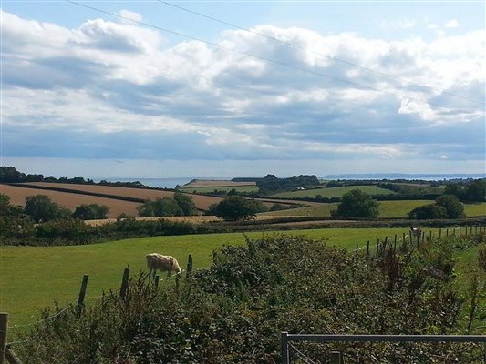 View over the fields to Otterton